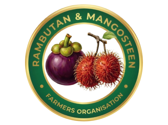 RMFO Logo